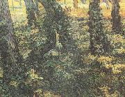 Vincent Van Gogh, Tree Trunks with Ivy (nn04)